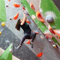 A purple on Steep Corner in the right hand side of the centre