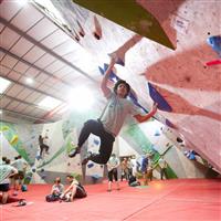 The 17 metre Comp Wall - including 30 degree overhang, mini roof and slab sections