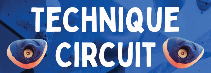 Seagull Technique Circuit